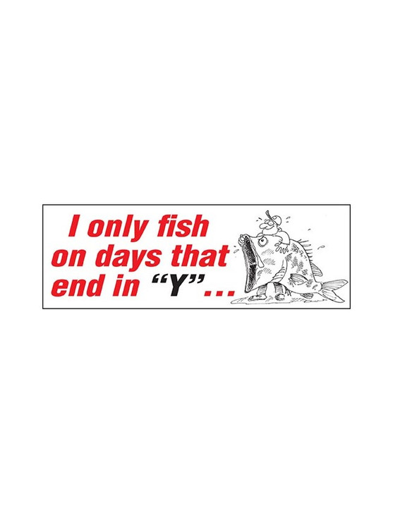 AFN Sticka Fisher - I Only Fish on Days that End in "Y"