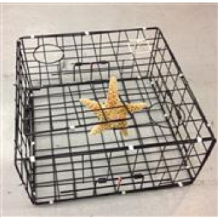 square-crab-trap-24-inch-with-top-door