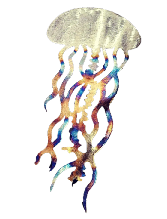 Ruggid Coast Jelly Fish Treated