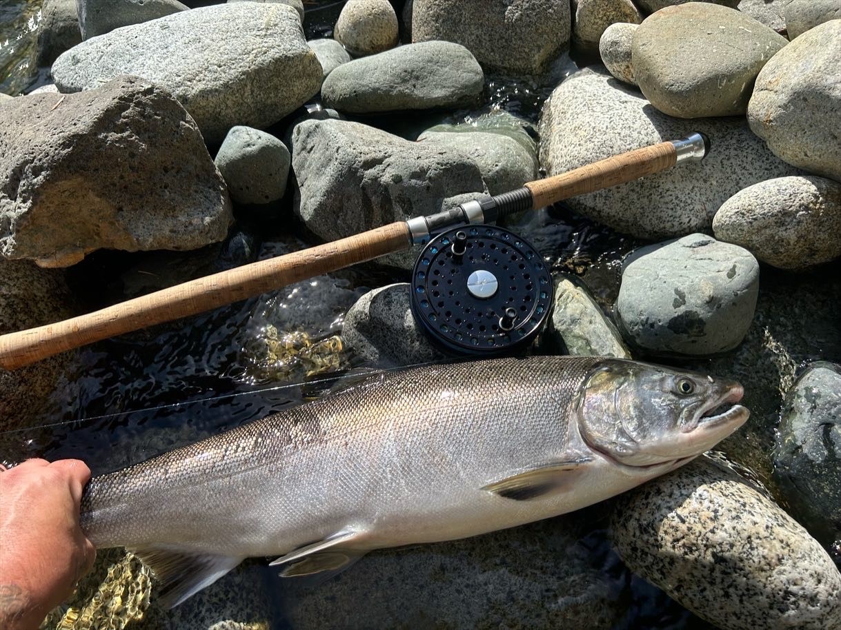 Stamp River Salmon Fishing - Coho and Chinook - Fly or Gear