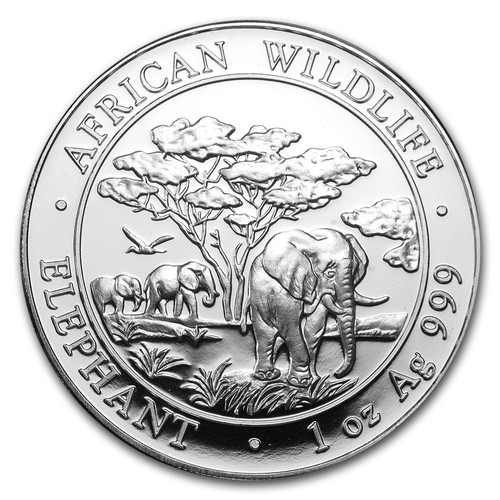 Exhibits three majestic Somalian Elephants roaming through tall grass.