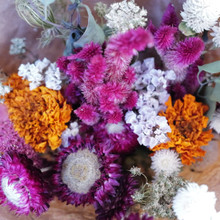 Bright and beautiful mix of pinks, purples, oranges, yellows, and whites.  Naturally grown in the USA.