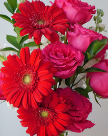 This arrangement is full of bright and bold flowers.  Red gerbera daisies and pink roses mixed with pops of white stock.