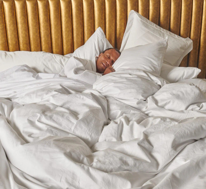 Down Etc. Aquaplush Down Alternative Polyester Pillow