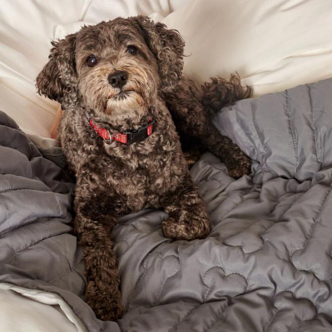 Down Etc. Doggie Down Waterproof Dog Pad