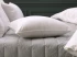 Down + Feather Compartmented Pillows