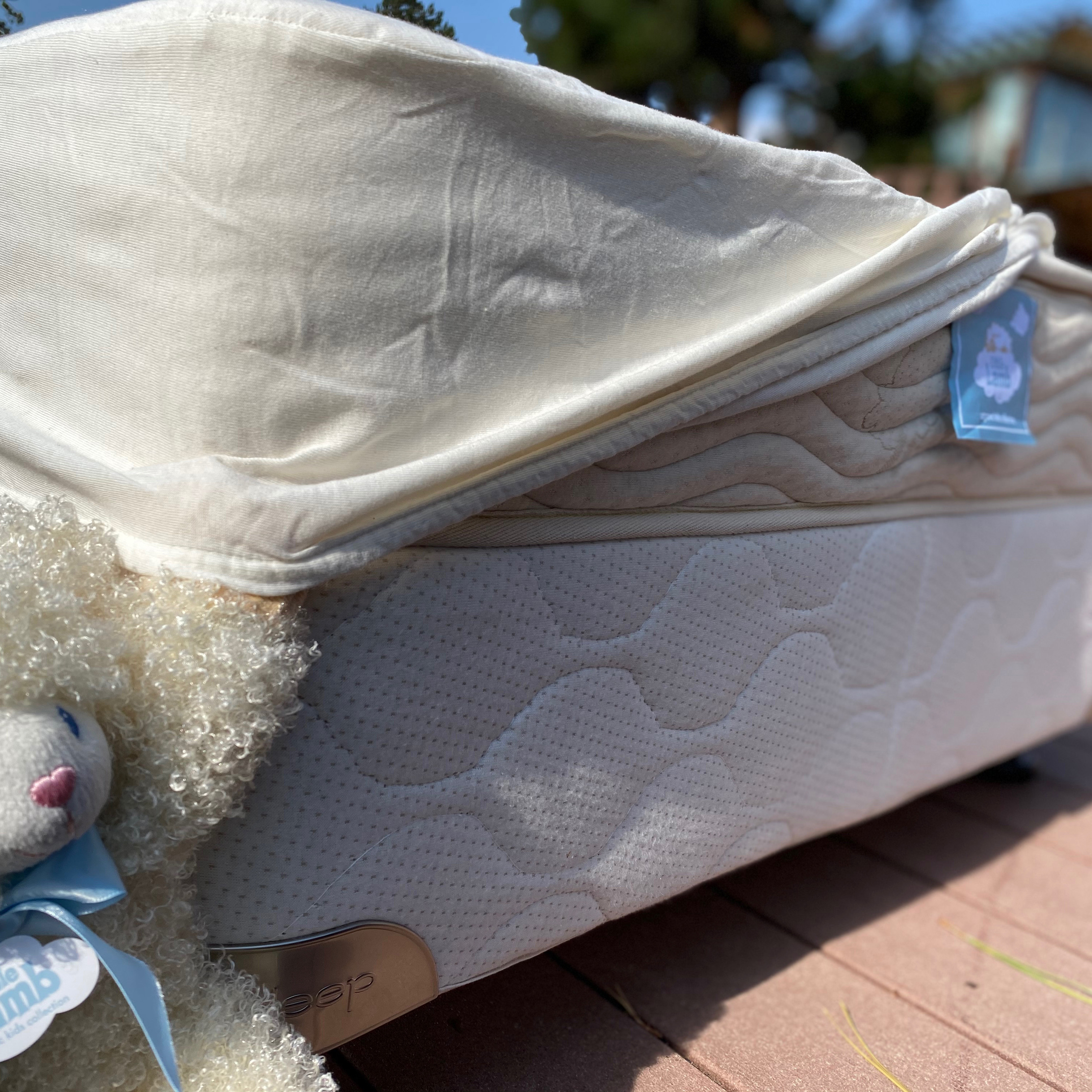 Little Lamb Mattresses