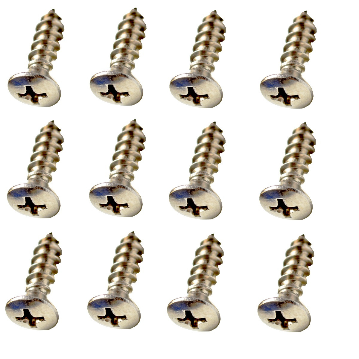 Tailgate Inspection Cover Mounting 12 Piece Stainless Steel Screw