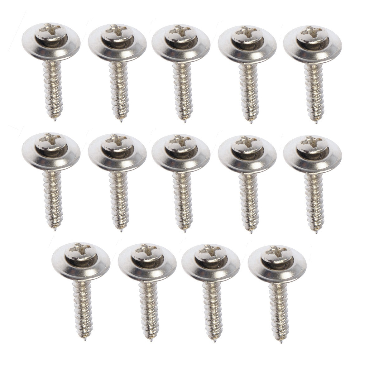 Complete 14 Piece Lower Door Panel Stainless Streel Screw Set GW