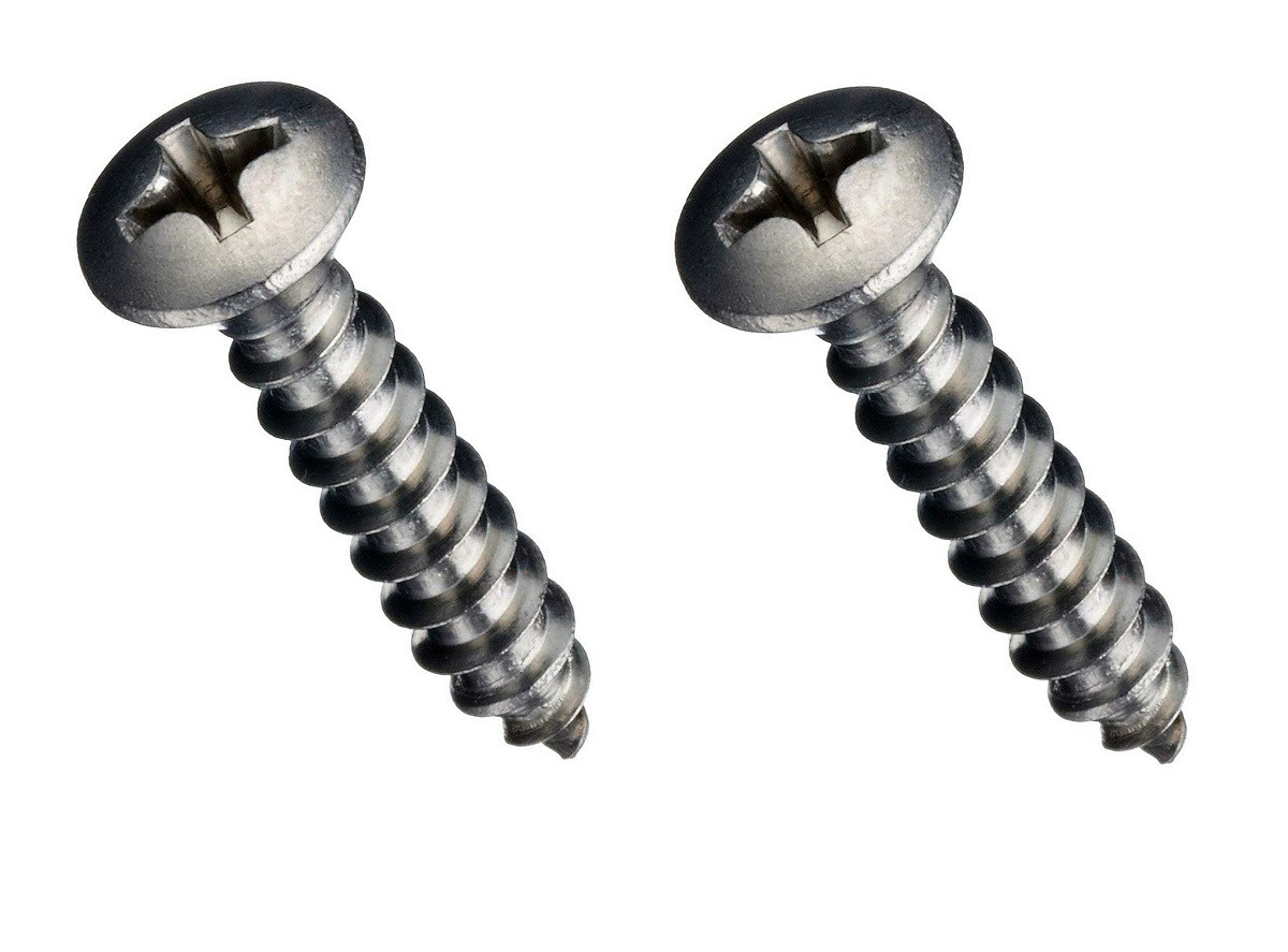 Rear License Plate Lamp Housing Stainless Steel Screw Set GW 1980