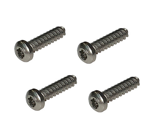 Tail Light Lens 4 Piece Stainless Steel Screw Set 1963-1983 - Team