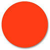 NUGENESIS Easy Nail Dip Starter Kit | NU 52 Orange You Glad?
