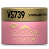 Volcano Spa 3-IN-1 | VS739 Springtime in Paris