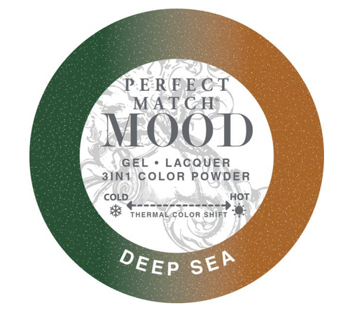 Perfect Match Mood 3 in 1 Powder – Deep Sea 25