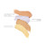 Corrective Colors Concealer