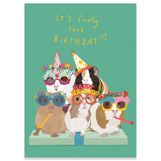 Guinea Pig Party | Birthday Greeting Card | CARTE