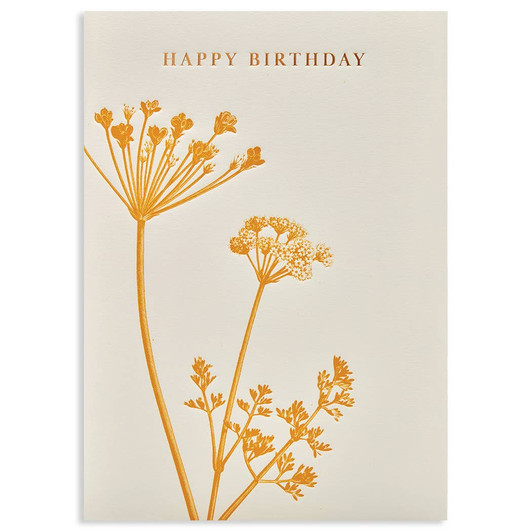 Happy Birthday | Birthday Card | CALYPSO CARDS