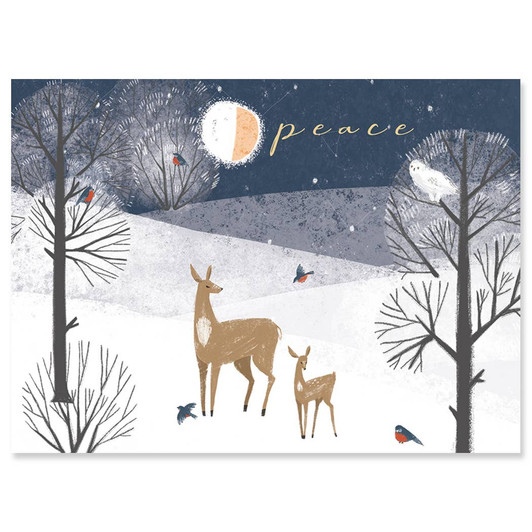 Island Winter | Holiday Greeting Card | J&M MARTINEZ