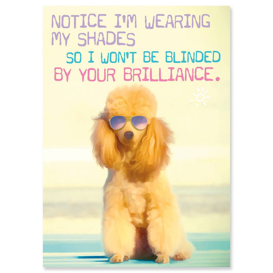 Kids Shades | Birthday Greeting Card | J&M MARTINEZ