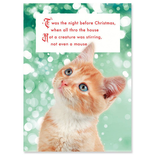 [BOXED SET] Not Even | Holiday Greeting Cards | J&M MARTINEZ