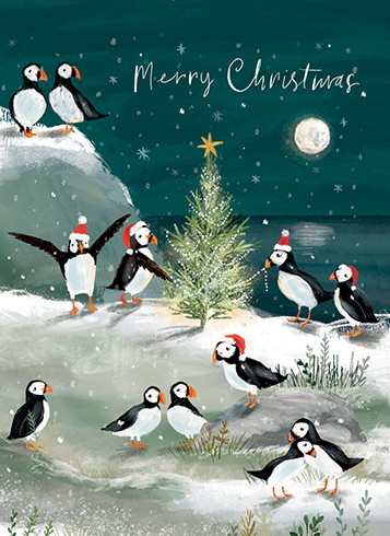 [BOXED SET] Puffins | Holiday Greeting Cards | CARTE