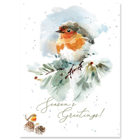 [BOXED SET] Woods | Holiday Greeting Cards | J&M MARTINEZ