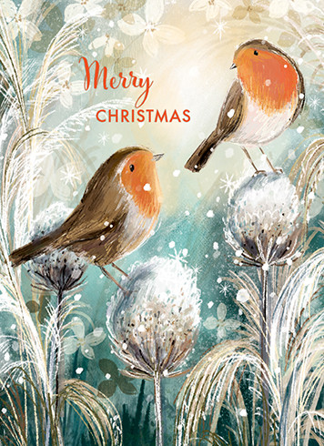 [BOXED SET] Robins | Holiday Greeting Cards | CARTE (BCCX879)