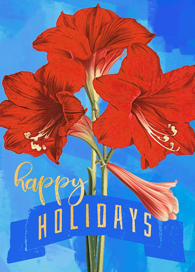 [BOXED SET] Blue Amaryllis | Holiday Greeting Cards | J&M MARTINEZ