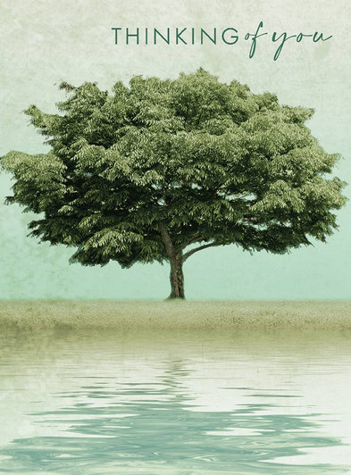 Oak | Sympathy Greeting Card | J&M MARTINEZ