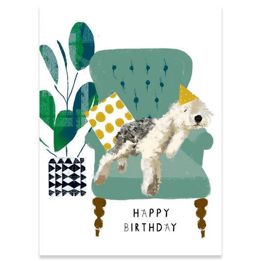 Pooped | Birthday Greeting Card | CARTE