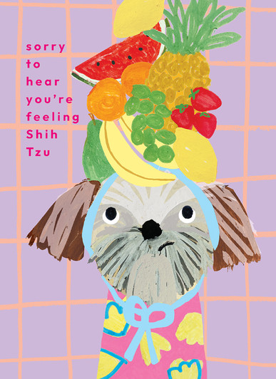 Shih Tzu | Get Well Greeting Card | CARTE
