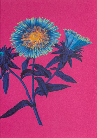 Cornflower | Blank Greeting Card | LAGOM