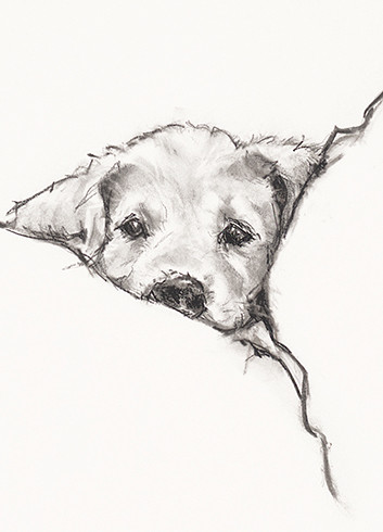 Dog In Bed | Get Well Greeting Card | CARTE