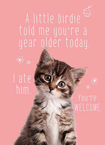 Fur Birdie | Birthday Greeting Card | J&M MARTINEZ