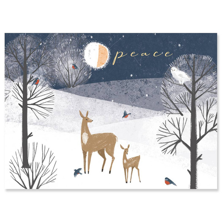 Island Winter | Holiday Greeting Card | J&M MARTINEZ