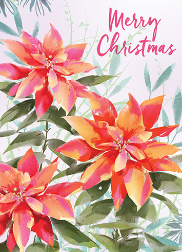 Poinsettia | Holiday Greeting Card | CARTE