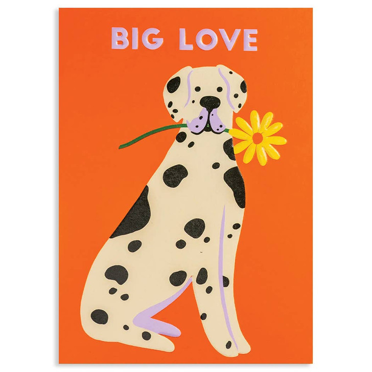 Big Love | Birthday Card | CALYPSO CARDS