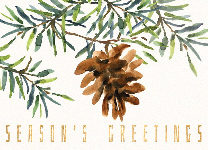 [BOXED SET] Fresh Pine | Holiday Greeting Cards | J&M MARTINEZ