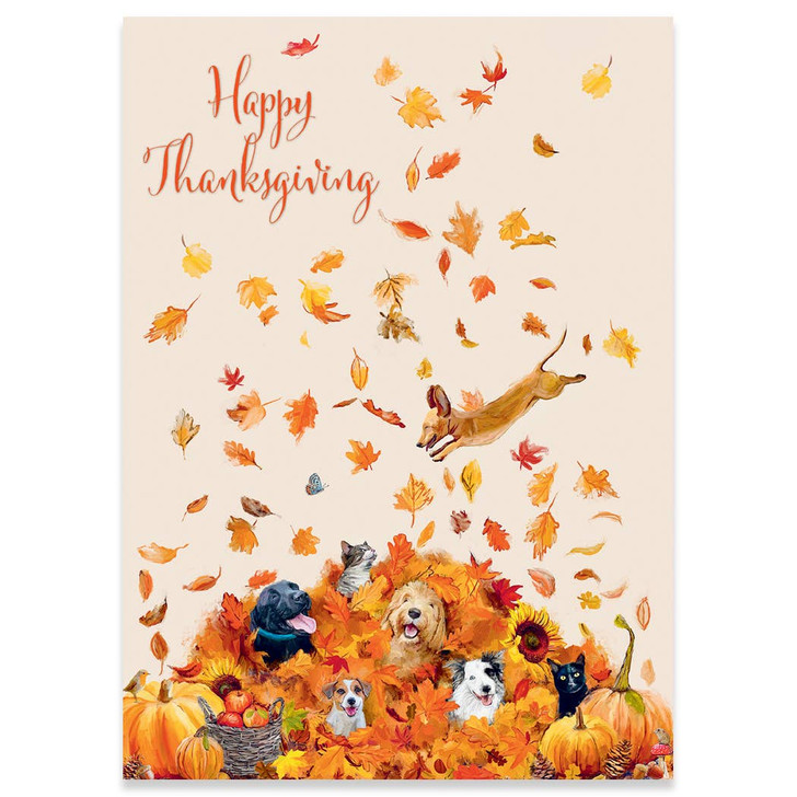 Fun In The Leaves | Thanksgiving Greeting Card | CARTE (CCX707)