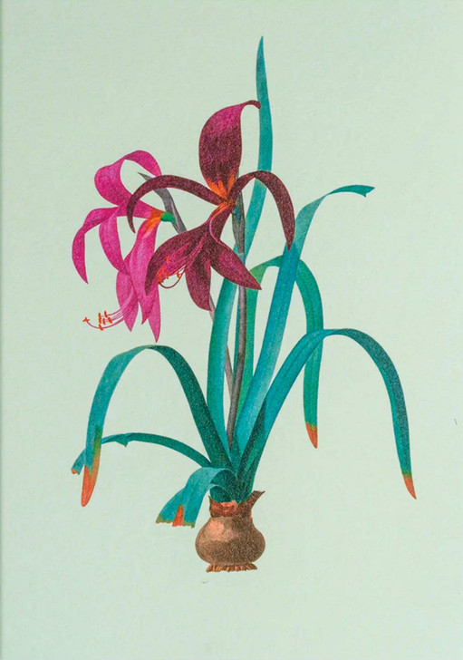 Iris | Blank Greeting Card | LAGOM