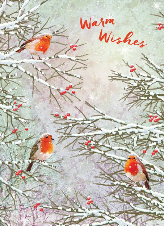 [BOXED SET] Robins | Holiday Greeting Cards | CARTE