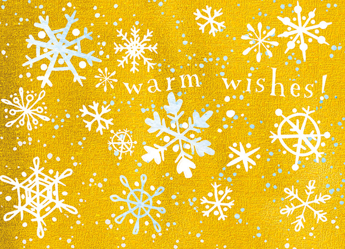 [BOXED SET] Snow On Snow | Holiday Greeting Cards | J&M MARTINEZ