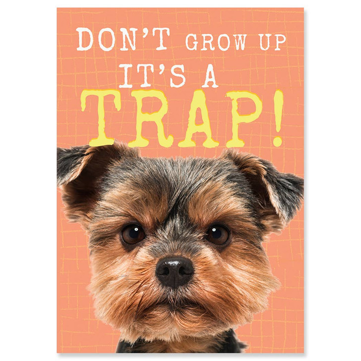 Trap | Birthday Greeting Card | J&M MARTINEZ
