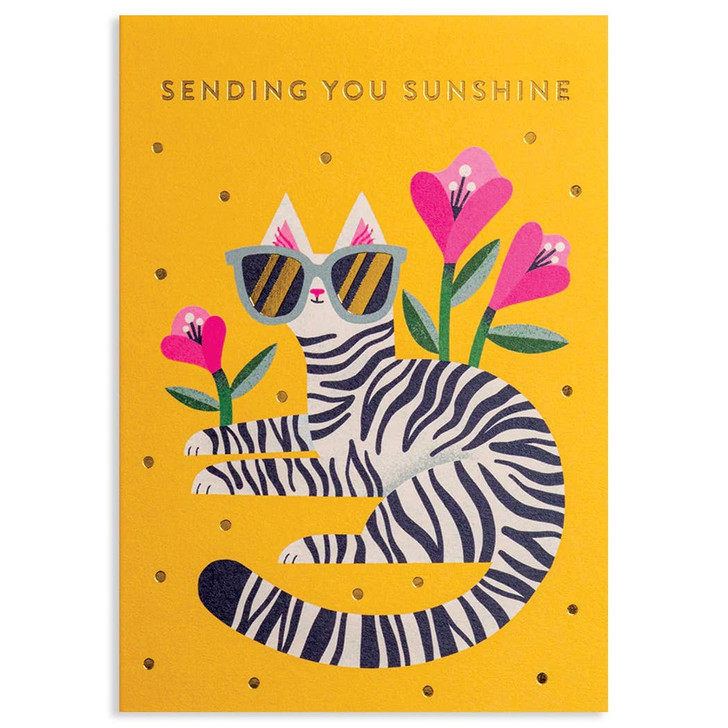 Cat And Sunshine | Thinking Of You Greeting Card | LAGOM