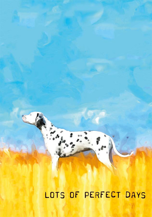 Dalmatian | Birthday Greeting Card | J&M MARTINEZ