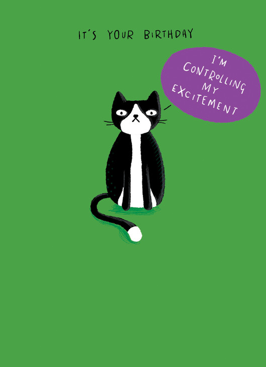 Excitement | Birthday Greeting Card | CARTE