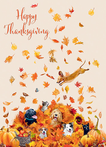Fun In The Leaves | Thanksgiving Greeting Card | CARTE