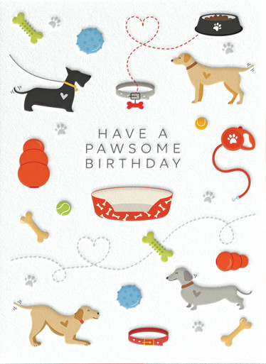 Dogs | Birthday Greeting Card | HEYYY - Calypso Cards