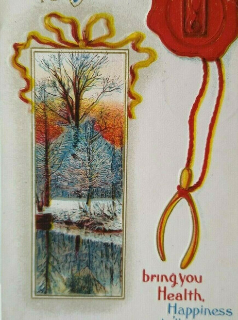 New Year Postcard Scenic View Wishbone Vintage Series 794 Detroit Mich 1912