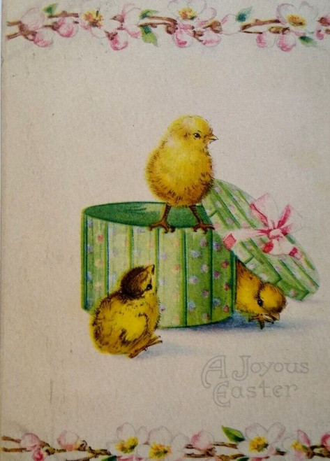 Easter Postcard Baby Chicks Inside Hat Box Gibson Vintage 1918 Chicago Illinois